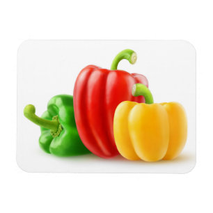 Colourful bell peppers magnet