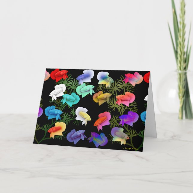 Colourful Betta Aquarium Fish Greeting Card (Front)