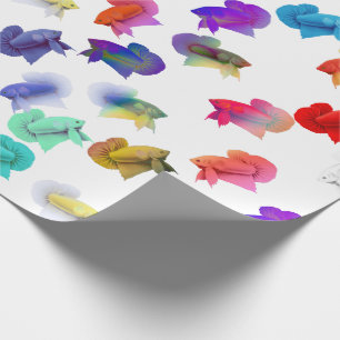Colourful Betta Aquarium Fish Wrapping Paper