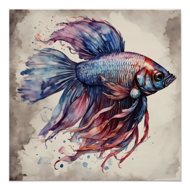 Colourful Betta Fish no 1 Glossy Poster (Front)