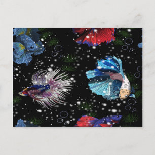Colourful Betta Fish Postcard