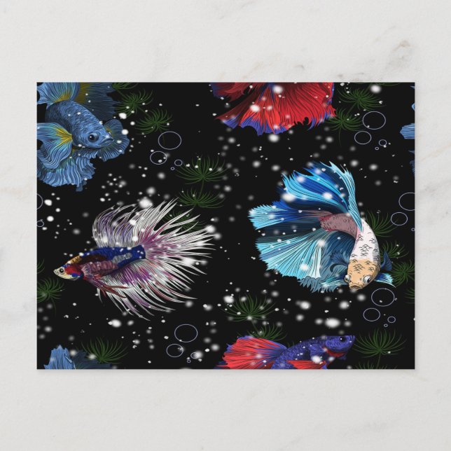 Colourful Betta Fish Postcard (Front)
