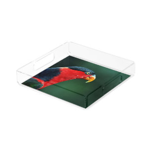 Colourful Bird Acrylic Tray