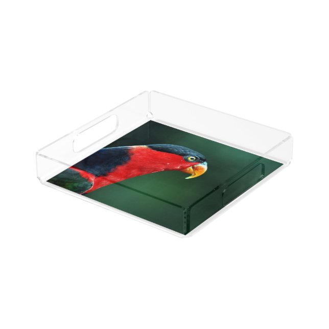 Colourful Bird Acrylic Tray (Angled)