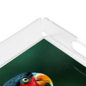 Colourful Bird Acrylic Tray (Corner)