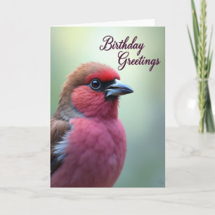Colourful Bird Art Birthday Card