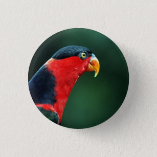 Colourful Bird Button