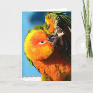 Colourful Bird Card