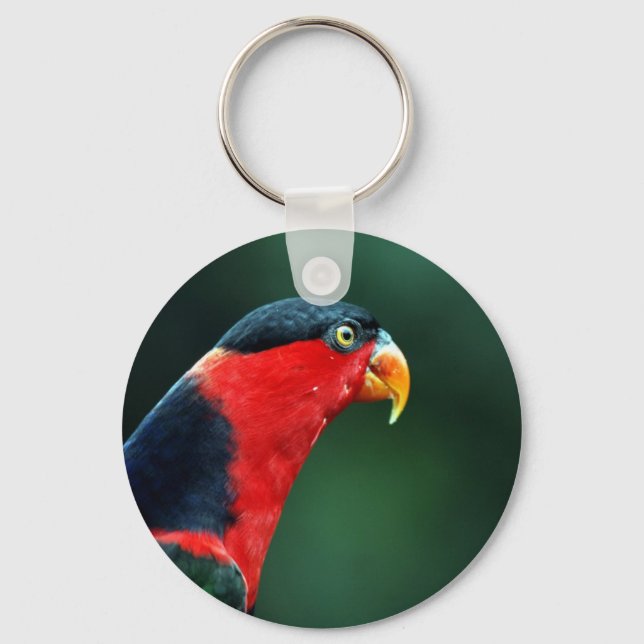 Colourful Bird Keychain (Front)