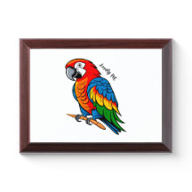 Colourful Bird Parrot