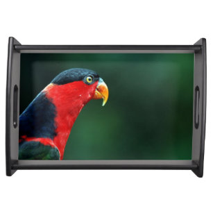 Colourful Bird Serving Tray