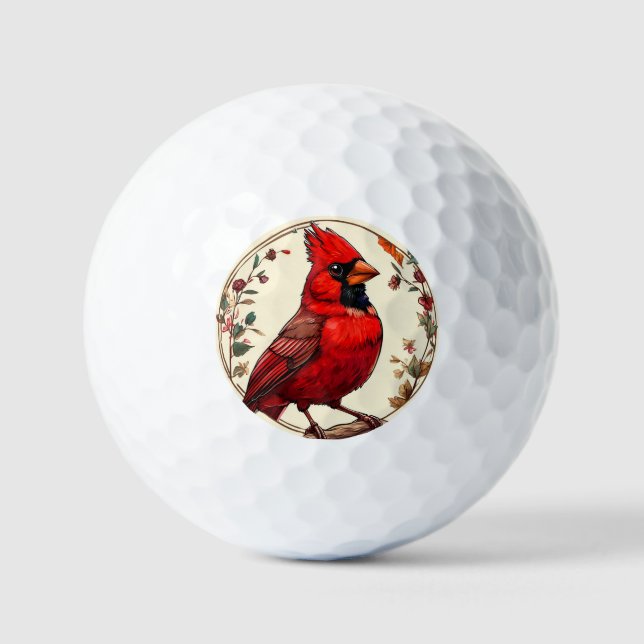 Colourful Bird with Floral Frame Golf Balls (Front)