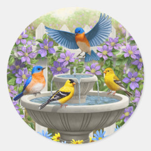 Colourful Birds and Bird Bath Flower Garden Classic Round Sticker