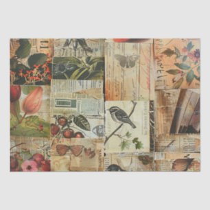 Colourful Birds Antique Newspaper Nature Collage Tissue Paper