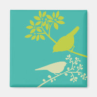 Colourful Birds