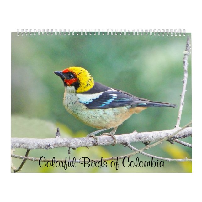 Colourful Birds of Colombia Calendar (Cover)