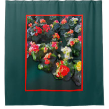 Colourful Blooming Flowers