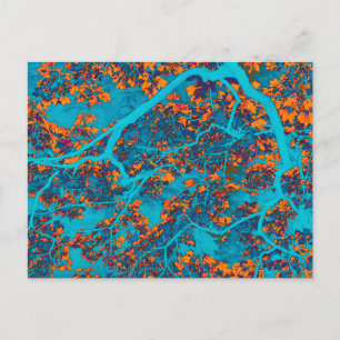 Colourful blue and orange trees postcard