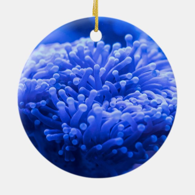 Colourful Blue Sea Anemone Marine Life Ceramic Ornament (Back)
