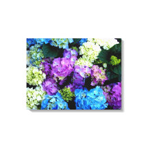 Colourful  Blue White Flowers  Canvas Canvas Print