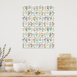 Colourful Botanical Herbarium Plants Wall Art