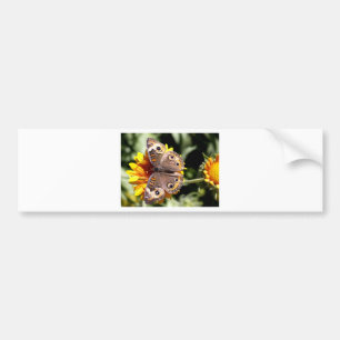 Colourful Brown Butterfly with Multiple Eyes Bumper Sticker