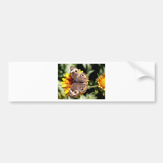 Colourful Brown Butterfly with Multiple Eyes Bumper Sticker (Front)