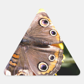 Colourful Brown Butterfly with Multiple Eyes Triangle Sticker