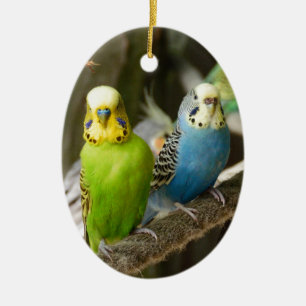 Colourful Budgie Bird Ceramic Tree Decoration