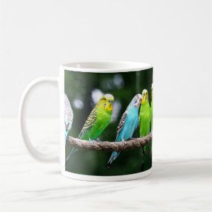 Colourful Budgies Coffee Mug