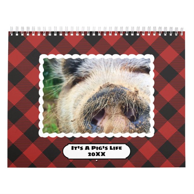 Colourful Buffalo Plaids Photo Calendar (Cover)