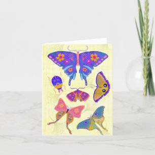 Colourful Butterflies and Moths BLANK Greeting Car Thank You Card