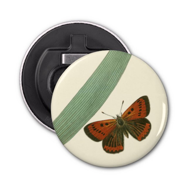Colourful Butterflies Fluttering Around a Leaf Bottle Opener (Front)