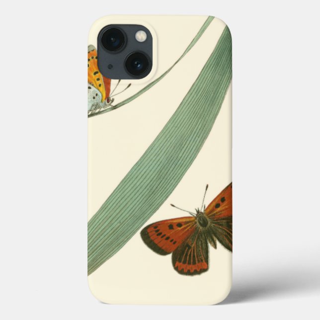 Colourful Butterflies Fluttering Around a Leaf Case-Mate iPhone Case (Back)
