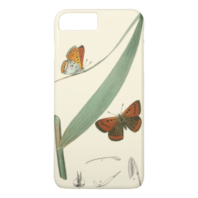 Colourful Butterflies Fluttering Around a Leaf Case-Mate iPhone Case (Back)