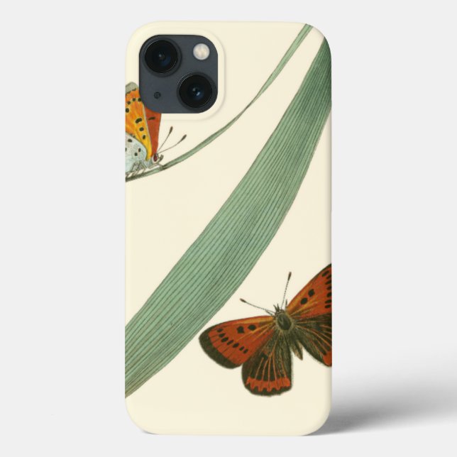 Colourful Butterflies Fluttering Around a Leaf Case-Mate iPhone Case (Back)