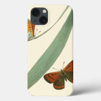 Colourful Butterflies Fluttering Around a Leaf