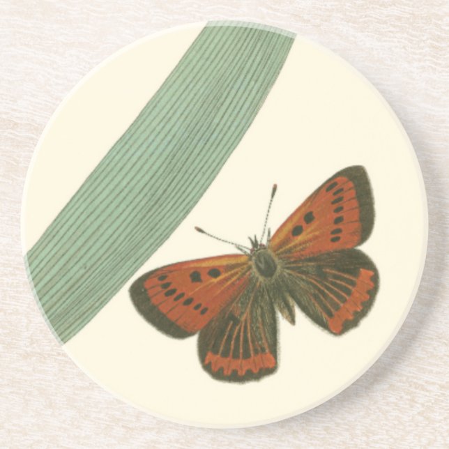 Colourful Butterflies Fluttering Around a Leaf Coaster (Front)
