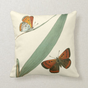 Colourful Butterflies Fluttering Around a Leaf Cushion