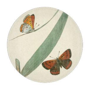 Colourful Butterflies Fluttering Around a Leaf Cutting Board