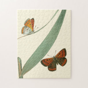 Colourful Butterflies Fluttering Around a Leaf Jigsaw Puzzle
