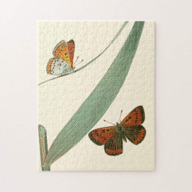 Colourful Butterflies Fluttering Around a Leaf Jigsaw Puzzle (Vertical)