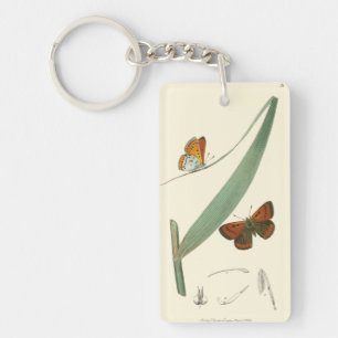 Colourful Butterflies Fluttering Around a Leaf Key Ring