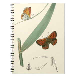 Colourful Butterflies Fluttering Around a Leaf Notebook