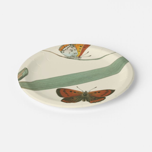 Colourful Butterflies Fluttering Around a Leaf Paper Plate (Angled)