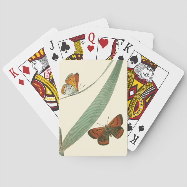 Colourful Butterflies Fluttering Around a Leaf Playing Cards (Back)