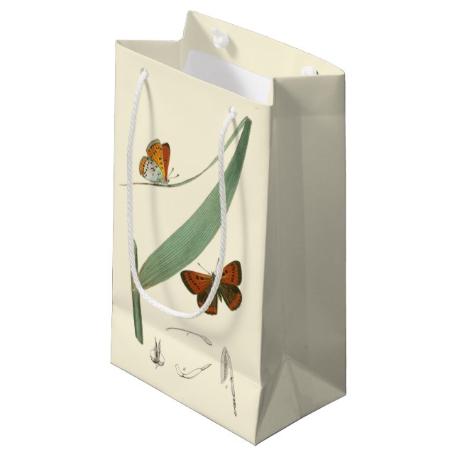 Colourful Butterflies Fluttering Around a Leaf Small Gift Bag (Front Angled)