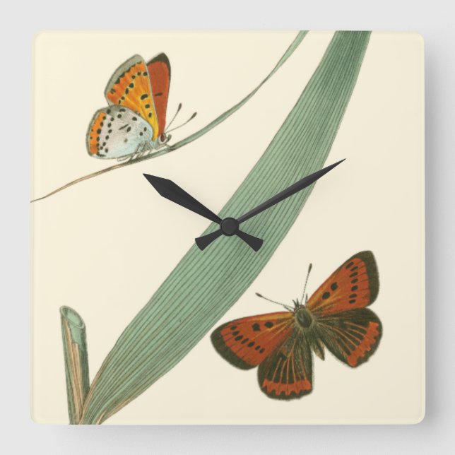 Colourful Butterflies Fluttering Around a Leaf Square Wall Clock (Front)