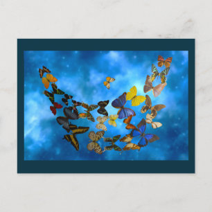 Colourful Butterflies Flying over Blue Clouds Postcard