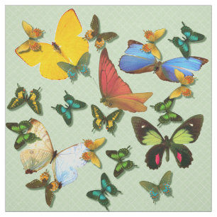Colourful Butterflies Green Background Pattern Fabric